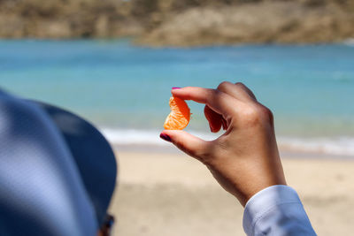 Cropped hand of woman holding seashell at beach