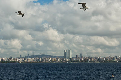 Low angle view of birds flying over sea against cloudy sky