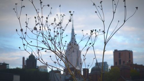 Cityscape against sky