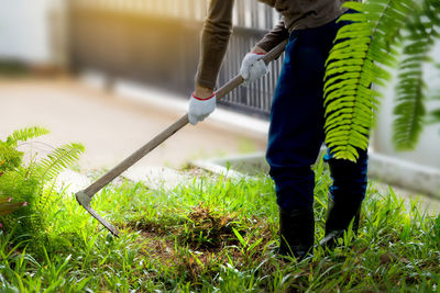 Low section of man cleaning grass with shovel in lawn