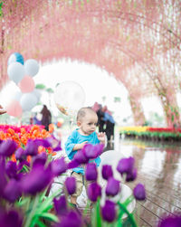 Cute boy looking at flowering plants