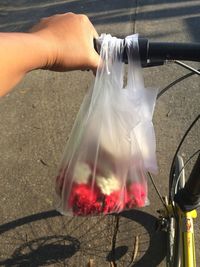 Cropped image of person holding bicycle