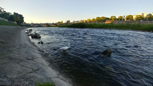 Scenic view of river against clear sky