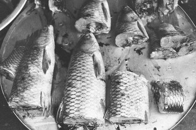 High angle view of fish for sale in market