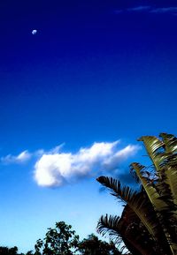 Low angle view of building against blue sky