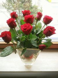 Close-up of red rose in vase