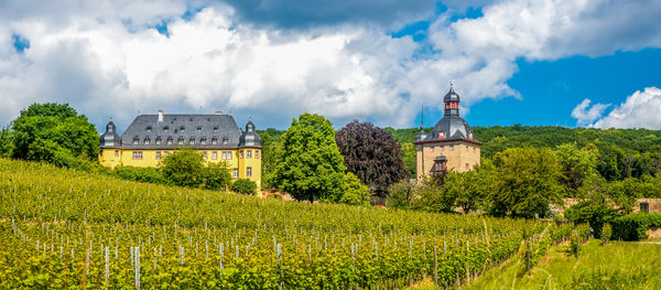 Panoramic shot of agricultural field against sky