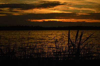 Silhouette of scenery at sunset