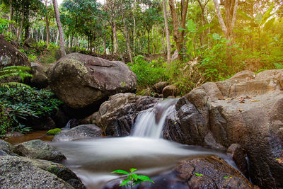 Stream flowing through rocks in forest