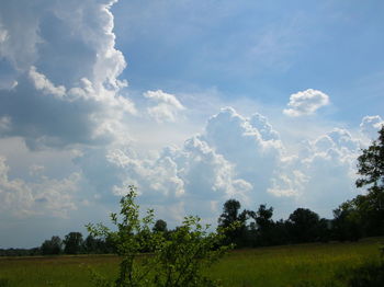 Scenic view of field against cloudy sky