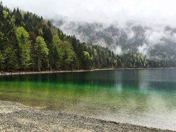 Scenic view of lake and trees during foggy weather