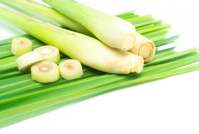 High angle view of green leaves on white background