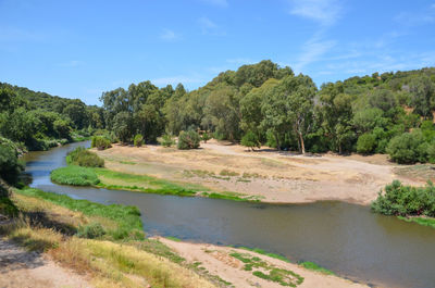 Scenic view of river amidst trees against sky