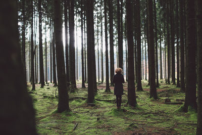 Man in forest