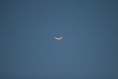 View of moon in blue sky