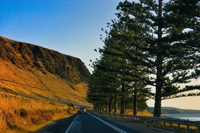 Empty road along trees and mountain against sky