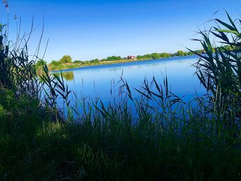 Scenic view of lake against clear blue sky