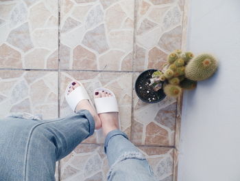 Low section of woman standing by potted cactus on floor at home