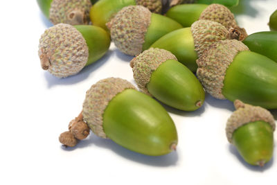 Close-up of green fruits against white background