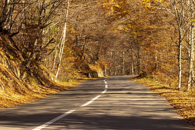 Road amidst trees in forest during autumn