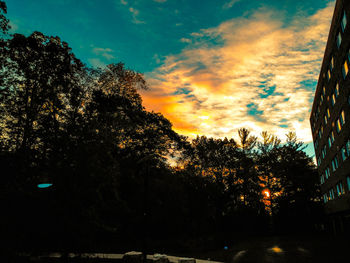 Low angle view of silhouette trees against dramatic sky