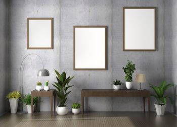 Potted plant on table against wall at home