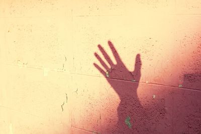 Close-up of human hand with shadow