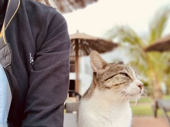 Rear view of women with cat standing outdoors