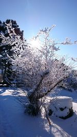 Scenic view of snow covered landscape