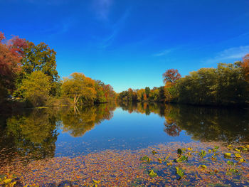 Reflection of trees in calm lake