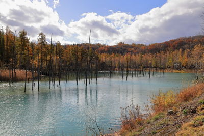 Scenic view of lake against sky during autumn