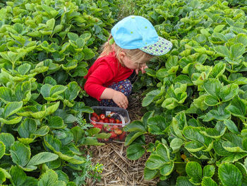 Midsection of woman working on plant