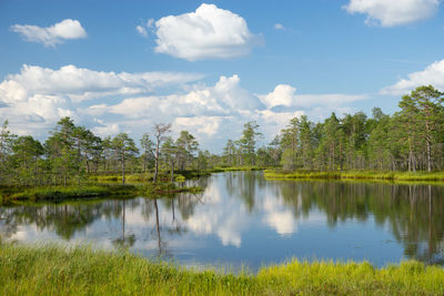 Scenic view of lake by trees against sky