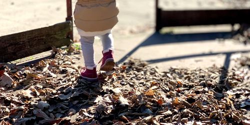 Low section of person standing on autumn leaves