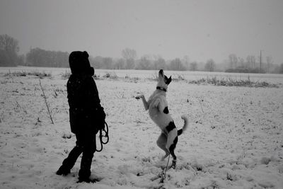 Person with playful dog on snow covered field