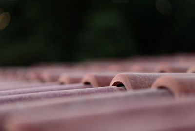 Close-up of wood