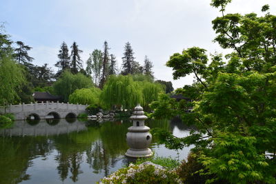 Trees in park