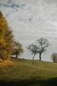 View of a tree against cloudy sky during autumn