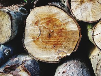 Stack of logs