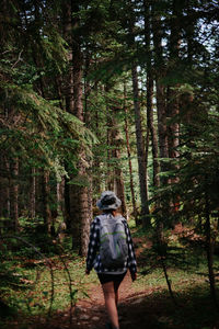 Rear view of woman standing in forest