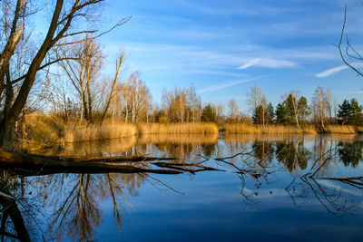 Reflection of trees in lake against sky