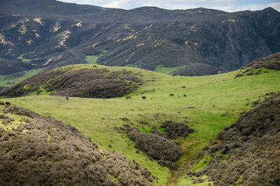 Scenic view of landscape