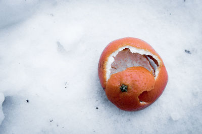 High angle view of apple on snow