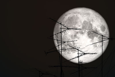 Low angle view of silhouette moon against sky at night