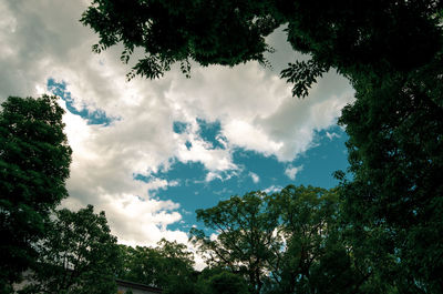 Low angle view of trees against sky