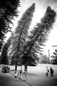 People walking on street in park