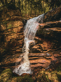 Scenic view of waterfall in forest