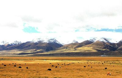 Scenic view of landscape and mountains against sky