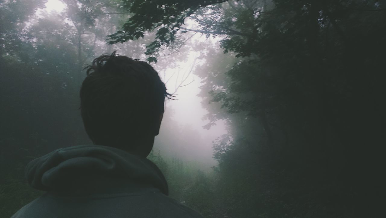 lifestyles, silhouette, rear view, tree, leisure activity, men, standing, waist up, tranquility, nature, three quarter length, headshot, person, sky, outdoors, low angle view, beauty in nature, day