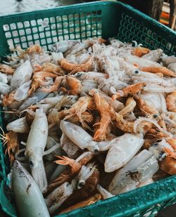 Buy  seafood from fisherman